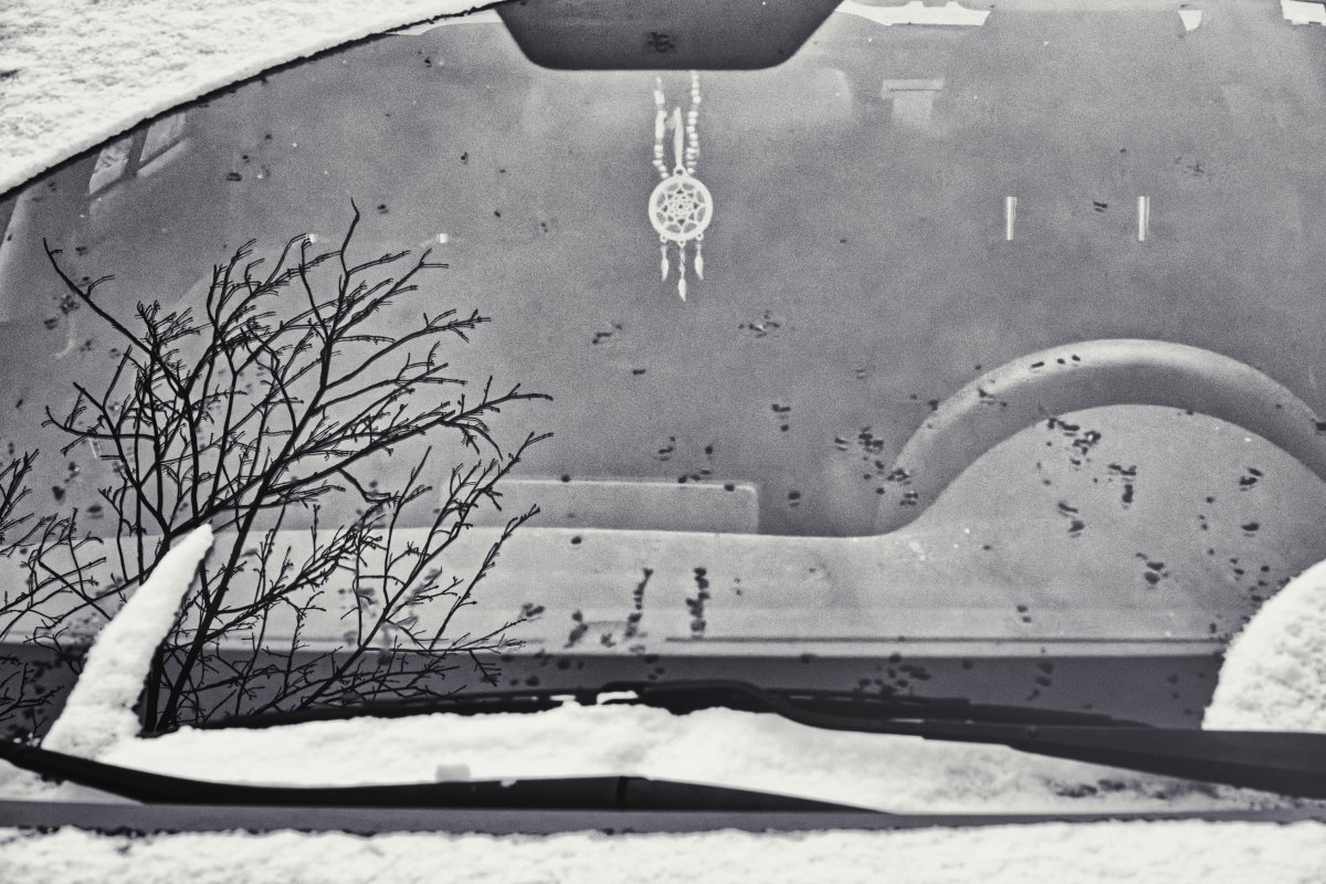 Frozen fractals on morning windows, capture delicate winter patterns.